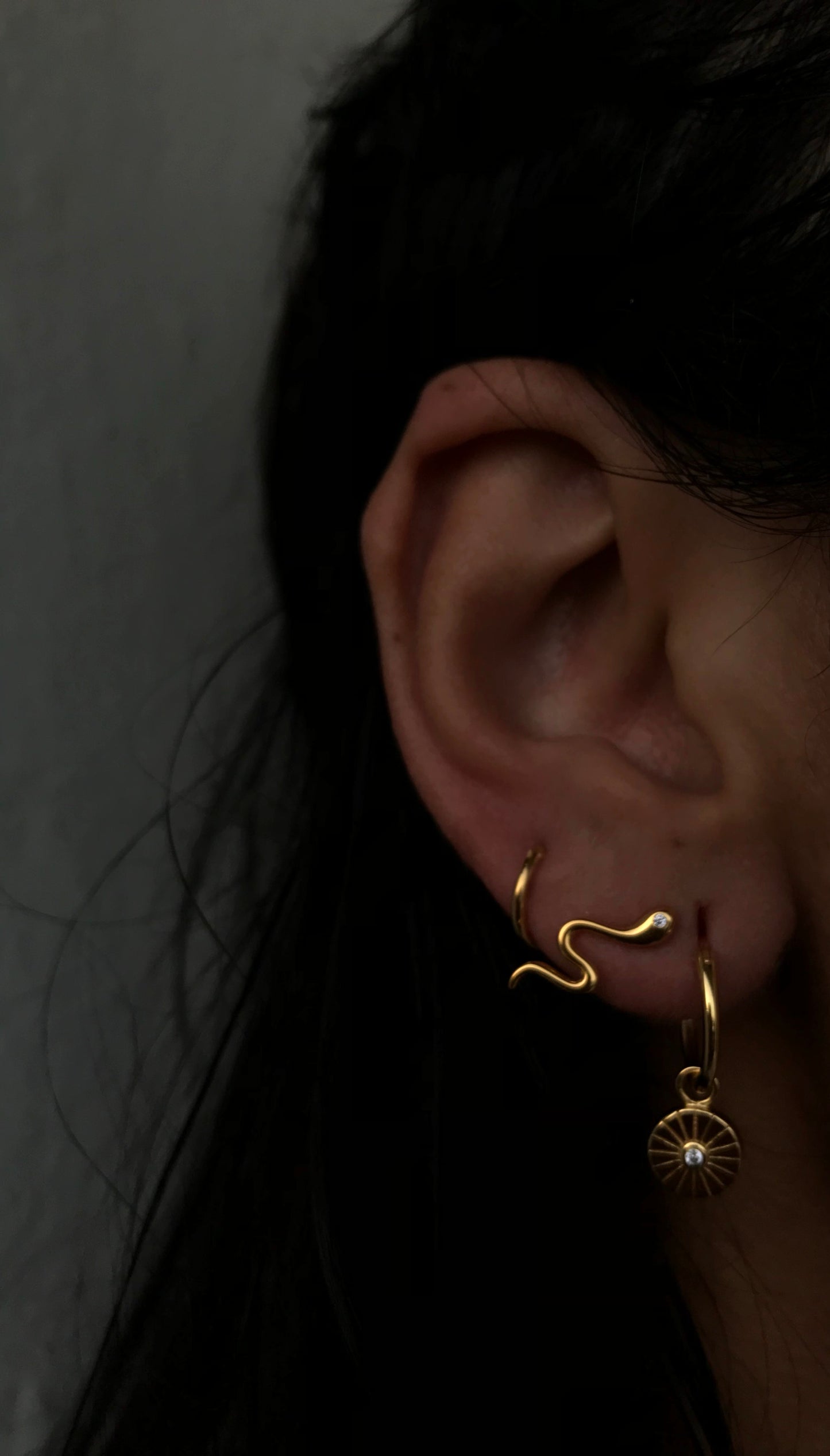Snake Earrings